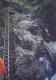 N�hodn� fotka z albumu